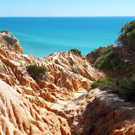 Amelia - Always Algarve Apartment *